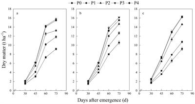 Establishing a critical phosphorus dilution curve for potato in semi-arid regions based on a Bayesian analysis